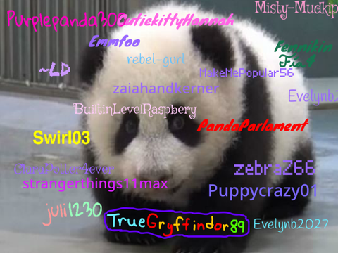 Sign if you are against PANDA POACHING! REMIX REMIX REMIX REMIX REMIX REMIX REMIX REMIX remix… remix