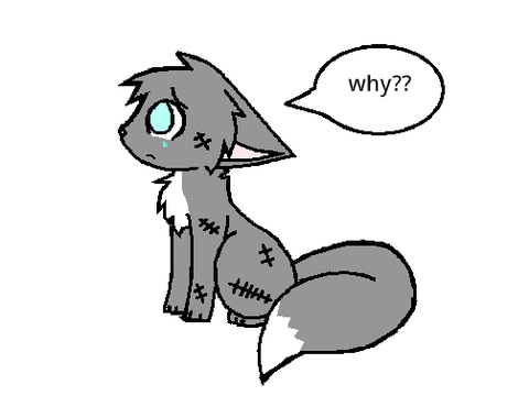 Stitches CC 