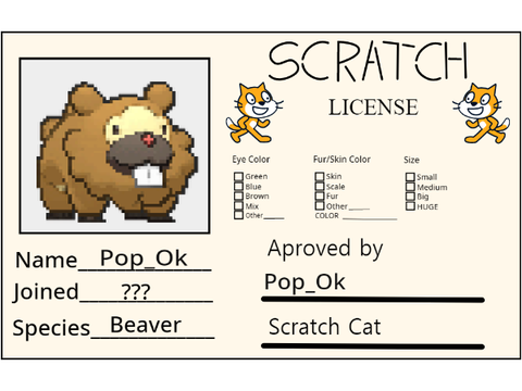 Bidoof's Scratch License