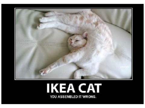 Dogs and Cats memes *mobile friendly*