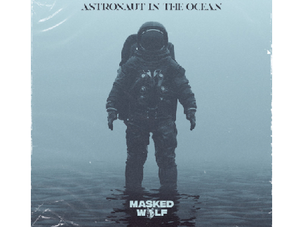 astronaout is the ocean