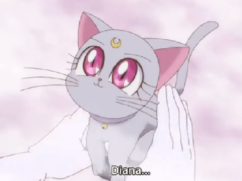 ☆