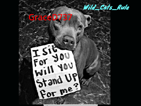 Remix and sign if you hate animal cruelty!! remix
