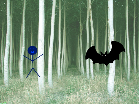 Sebastian and the Mystery Bat