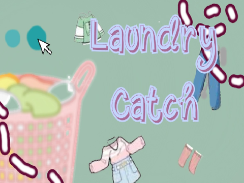 Laundry Catch--