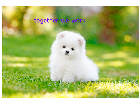 Sign in if you love dogs 