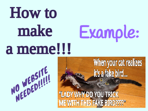 ~ How to make a meme! | Super Fun! | 6 Easy Steps! ~ #art  #tutorials