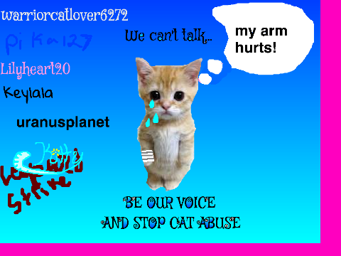 Sign here to stop cat abuse! remix remix remix remix remix
