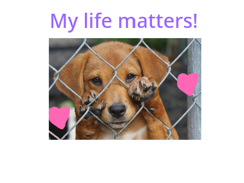Remix if you want Animal abuse to STOP! 