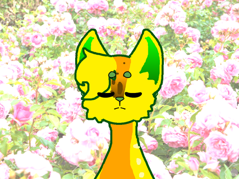 . roses . remix-3