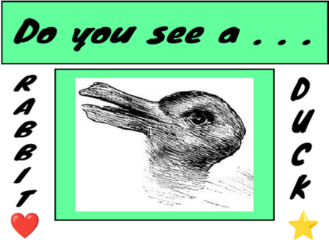 Rabbit or Duck?