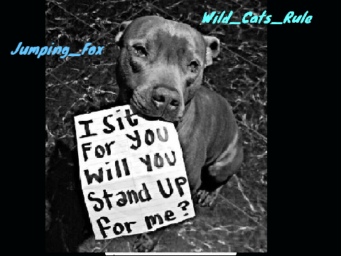 Remix and sign if you hate animal cruelty!! remix remix