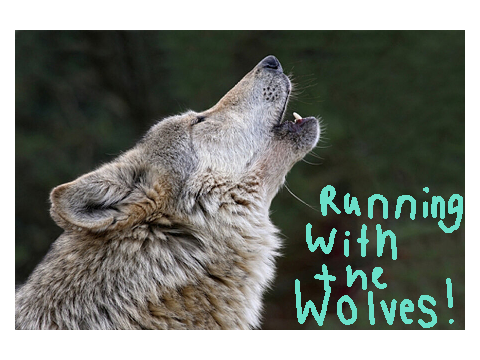 Running with the wolves 