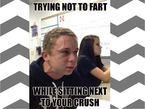 Story and Memes project