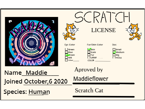 My scratch License