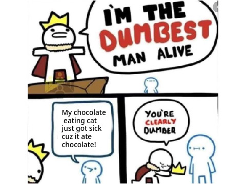 The Dumbest Man Alive!