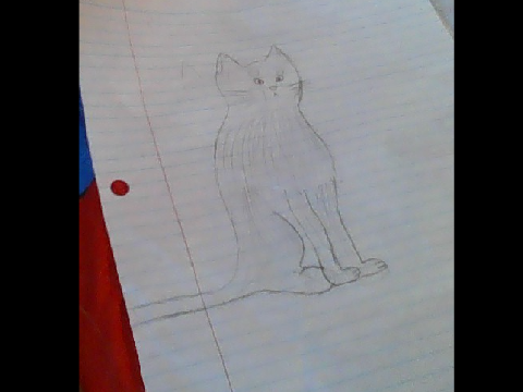 Cat drawing I drew!