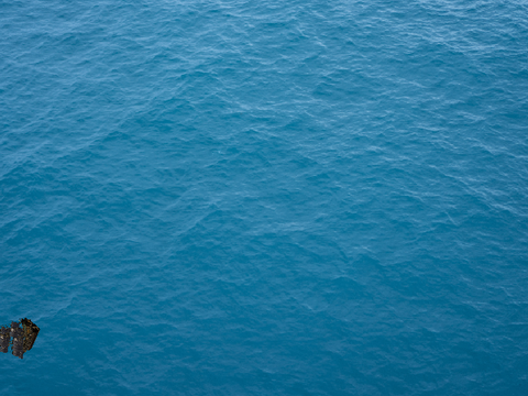 Sink or Swim !