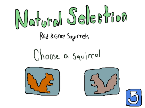 Squirrels and Natural Selection
