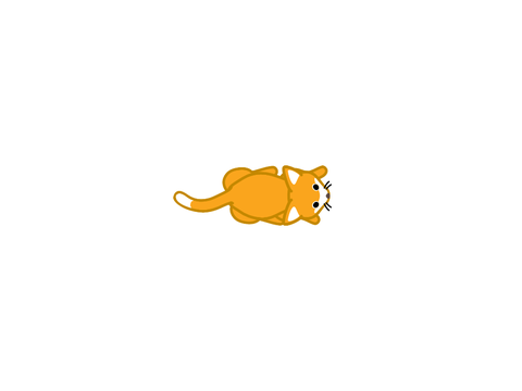 the top-view cat