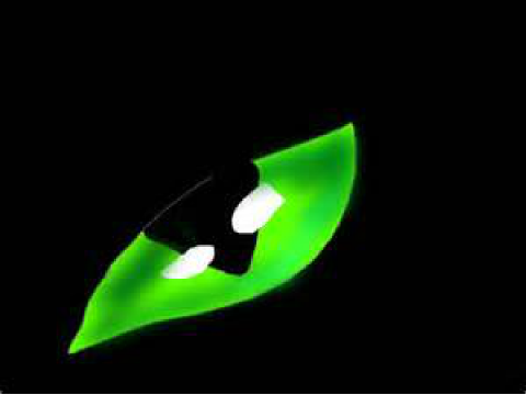 Hollyleaf blinking