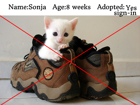Adopt-A-Cat-Or-Dog remix closed :(