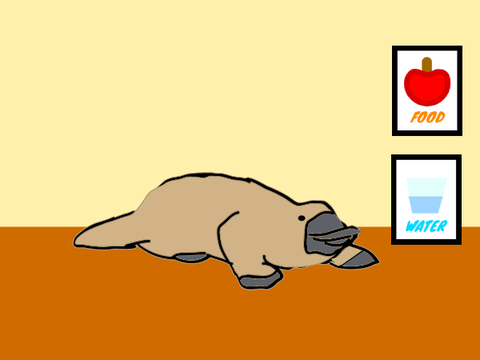 My Virtual Pet 2.0