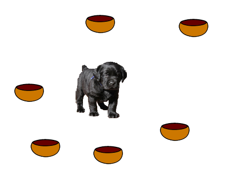 make the dog happy and do not eat cat food