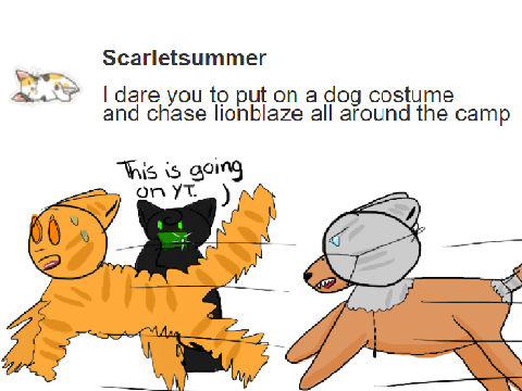 Ask Jayfeather 27