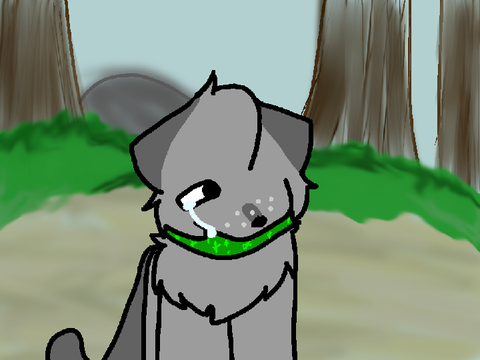 MDYK? (MAP part 2)