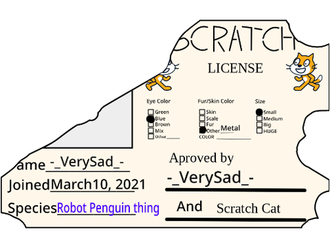 My scratch license :]