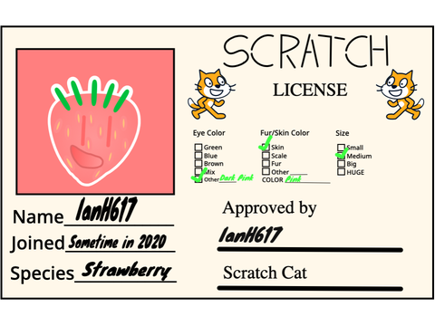 @IanH617's Scratch License