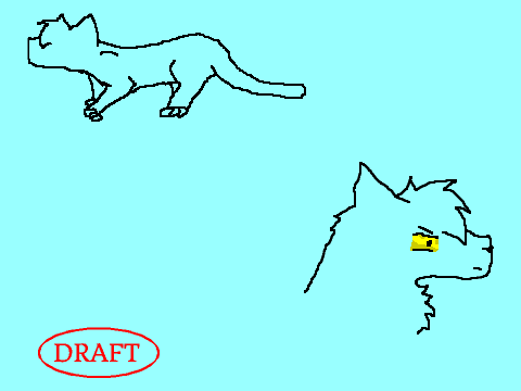 Cat Animation Pratices