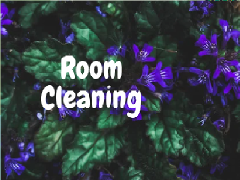 Room Cleaning