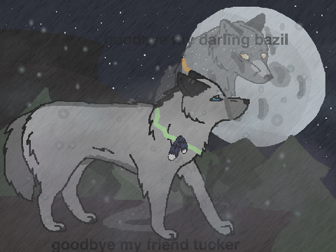 There Is No Night... stacyplays tucker and bazil