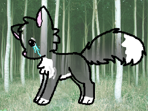Fox CC (OPEN) Creature of the Night, Fox Ghost