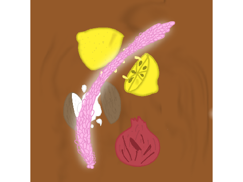 Ibis paint x 