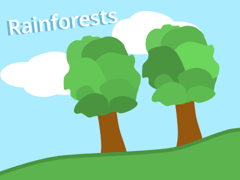 Rainforests