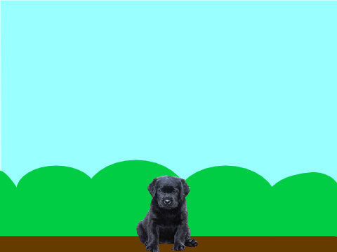 Project thumbnail
