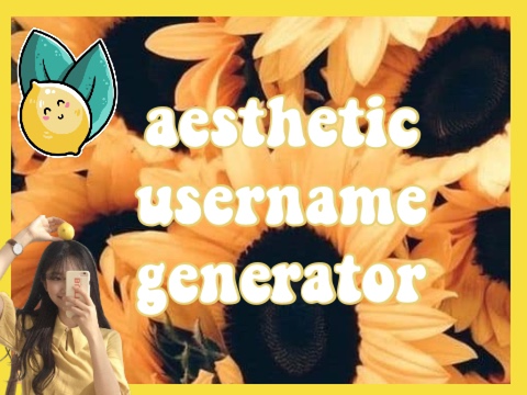 ╰┈➤ aesthetic username generator ´ˎ˗