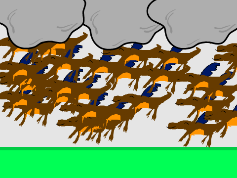 Newts are falling from the clouds!
