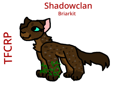 Briarkit’s Ref! TFCRP