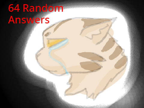 MORE 64 random answers