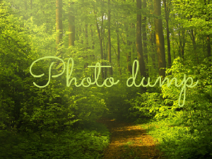   ✰ Photo dump ✰