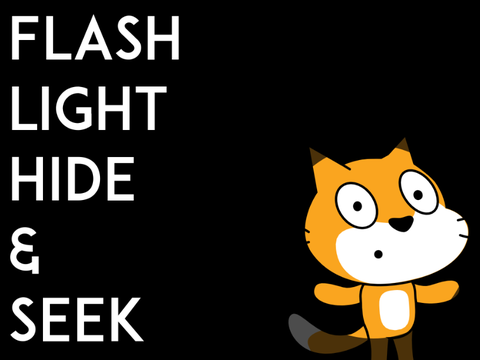 Flash light Hide and Seek