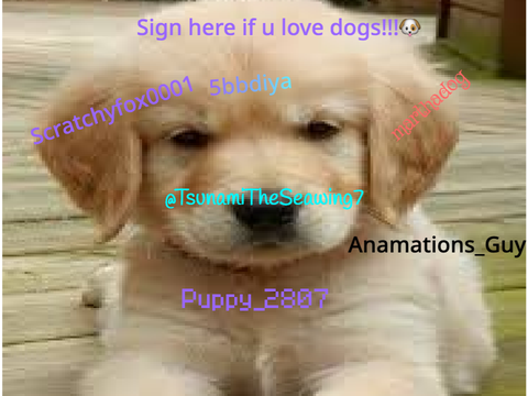 Sign here is you love dogs! remix