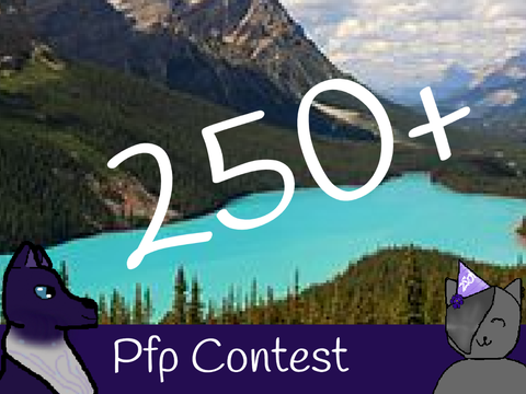 250+ Profile Picture Contest!