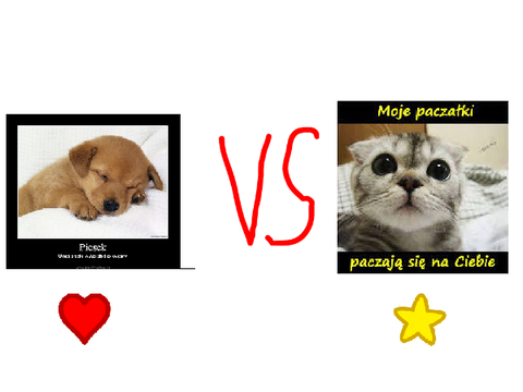 Psy VS Koty