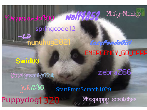 Sign if you are against PANDA POACHING! REMIX REMIX REMIX REMIX REMIX REMIX REMIX REMIX remix… remix