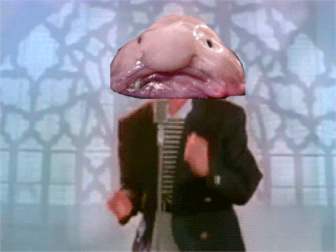 Blobby-Roll!